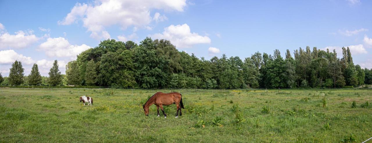 De Lammersdamhoeve Wingene Esterno foto